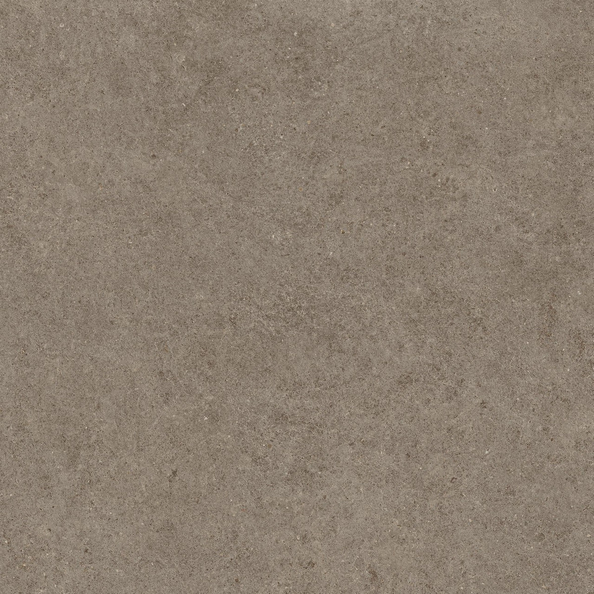 Carrelage effet Pierre Calcaire Gris Taupe 120x120x0,9 cm Mat Domella - Sol et mur intérieur