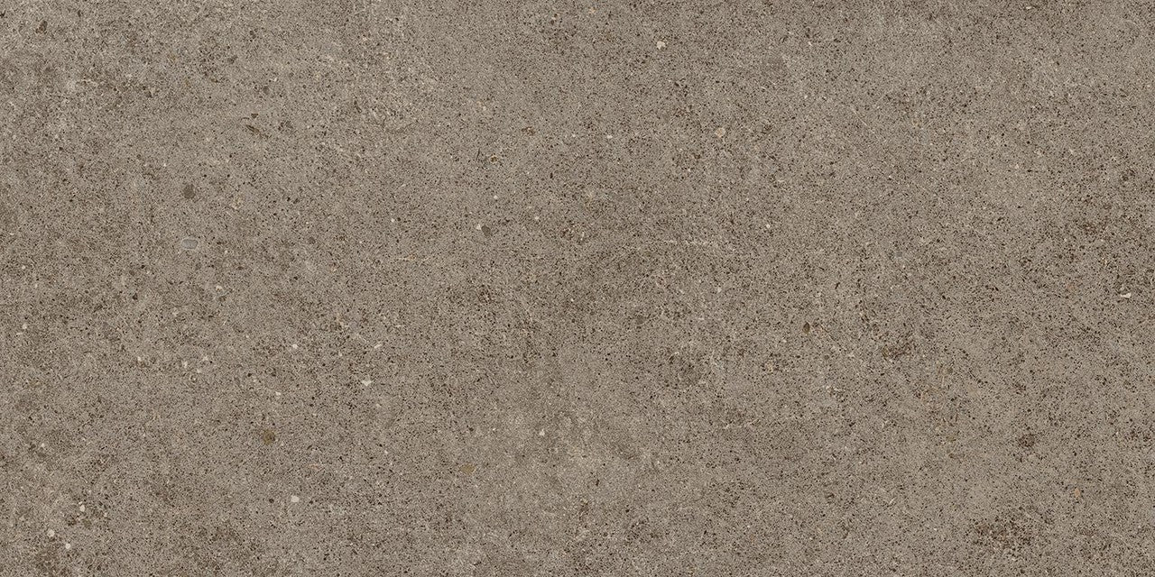 Carrelage effet Pierre Calcaire Gris Taupe 60x30x0,9 cm Mat Domella - Sol et mur intérieur