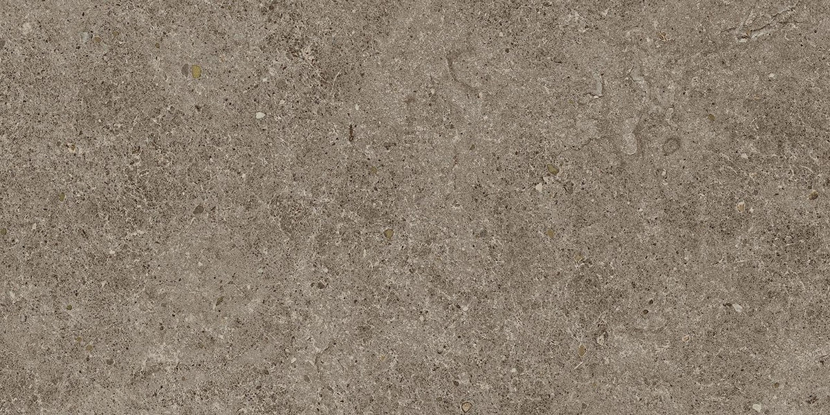 Carrelage effet Pierre Calcaire Gris Taupe 60x30x0,9 cm Mat Domella - Sol et mur intérieur