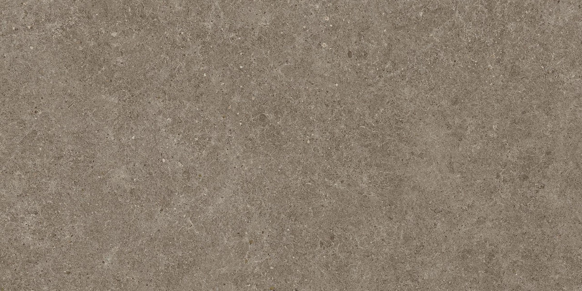 Carrelage effet Pierre Calcaire Gris Taupe 120x60x0,9 cm Mat Domella - Sol et mur intérieur