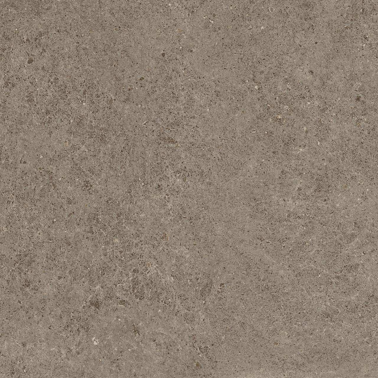 Carrelage effet Pierre Calcaire Gris Taupe 60x60x0,9 cm Mat Domella - Sol et mur intérieur