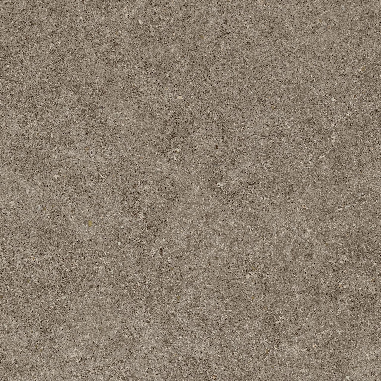 Carrelage effet Pierre Calcaire Gris Taupe 60x60x0,9 cm Mat Domella - Sol et mur intérieur