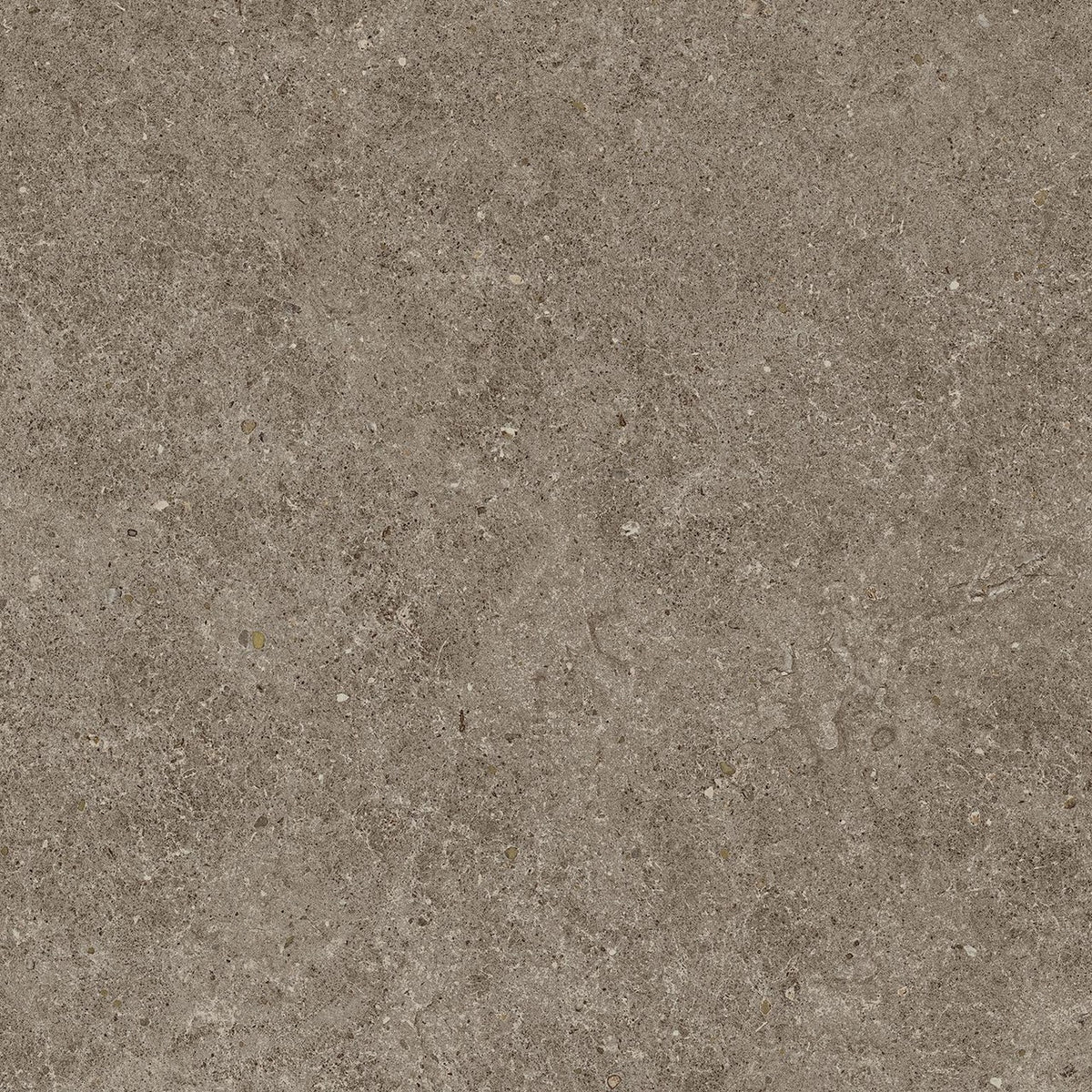 Carrelage effet Pierre Calcaire Gris Taupe 60x60x0,9 cm Mat Domella - Sol et mur intérieur