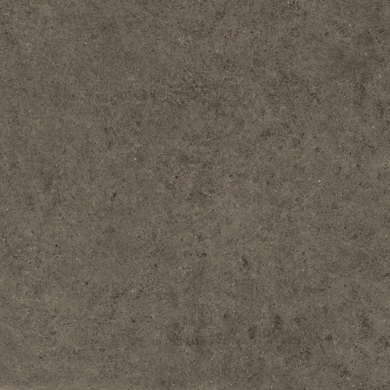 Carrelage effet Pierre Calcaire Gris Terre 120x120x0,9 cm Mat Domella - Sol et mur intérieur
