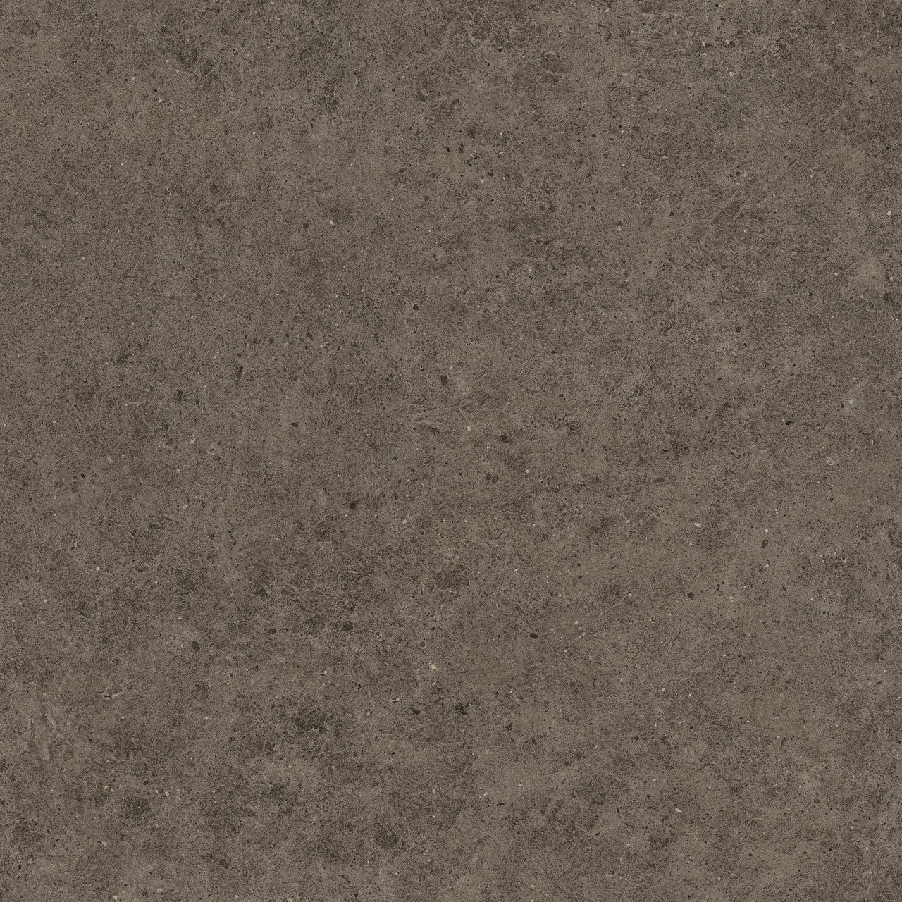 Carrelage effet Pierre Calcaire Gris Terre 120x120x0,9 cm Mat Domella - Sol et mur intérieur