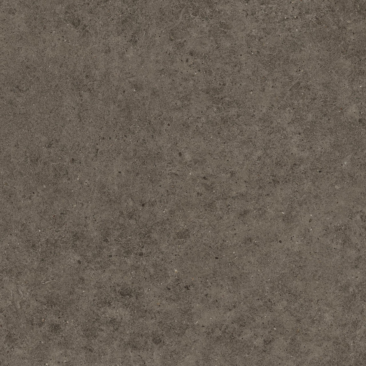 Carrelage effet Pierre Calcaire Gris Terre 120x120x0,9 cm Mat Domella - Sol et mur intérieur