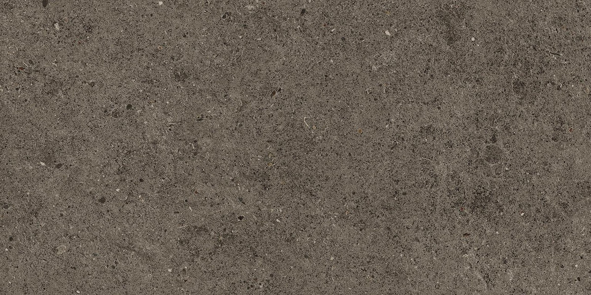 Carrelage effet Pierre Calcaire Gris Terre 60x30x0,9 cm Mat Domella - Sol et mur intérieur