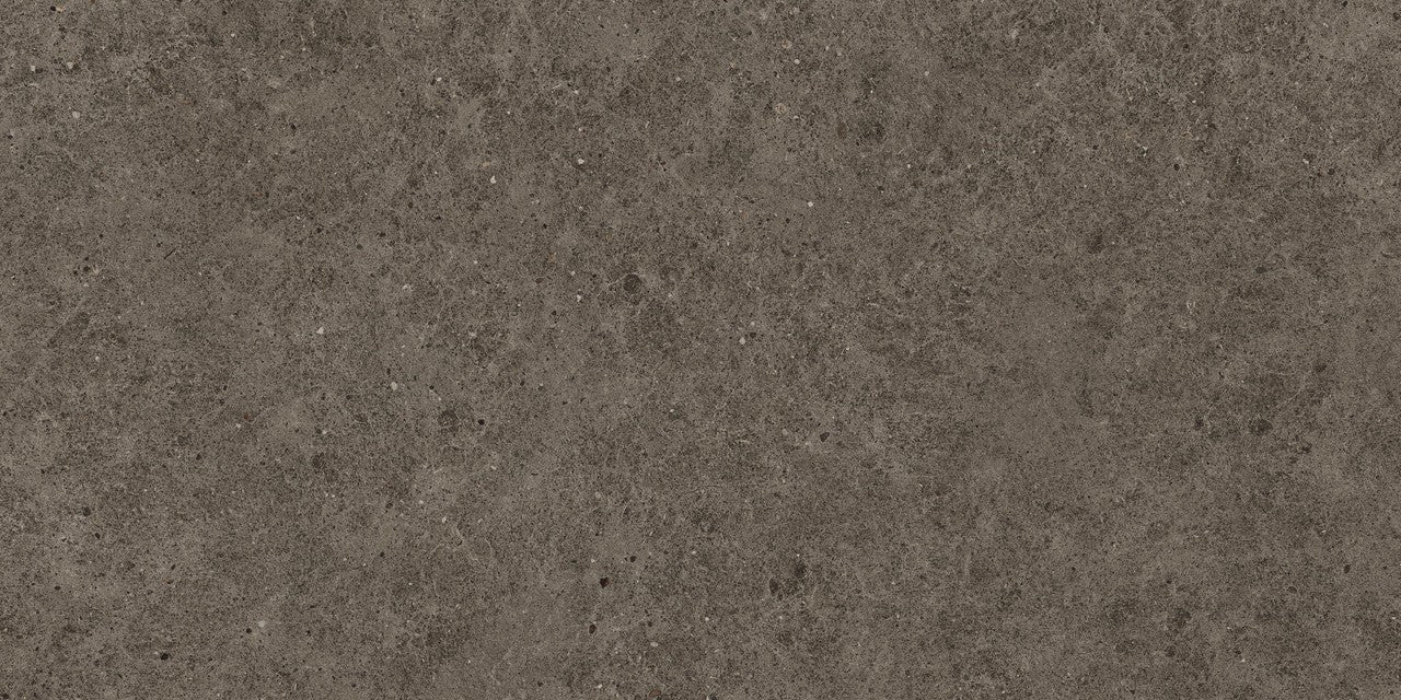 Carrelage effet Pierre Calcaire Gris Terre 120x60x0,9 cm Mat Domella - Sol et mur intérieur