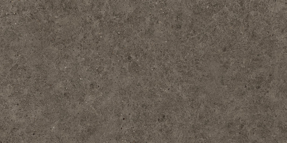 Carrelage effet Pierre Calcaire Gris Terre 120x60x0,9 cm Mat Domella - Sol et mur intérieur