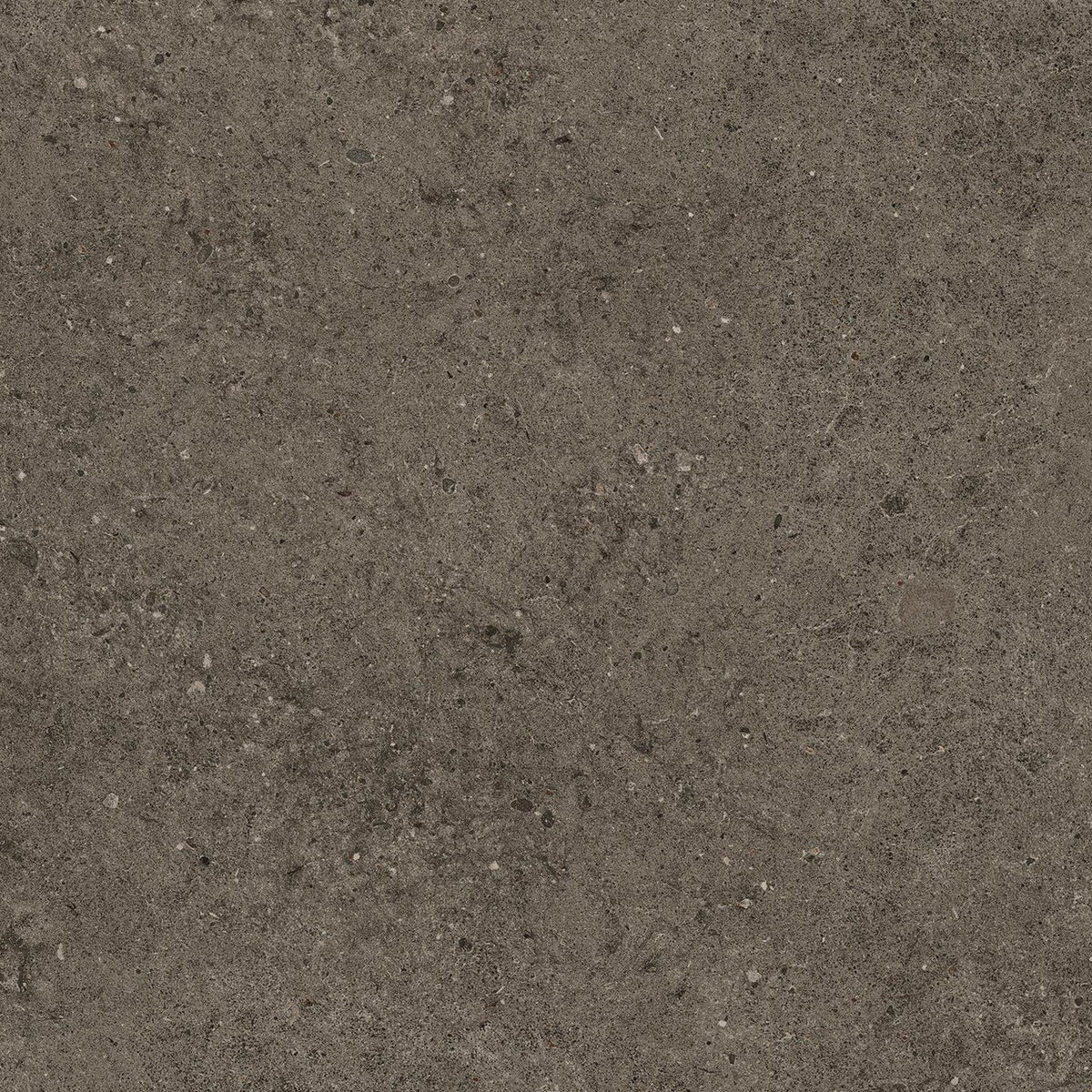 Carrelage effet Pierre Calcaire Gris Terre 80x80x0,9 cm Mat Domella - Sol et mur intérieur