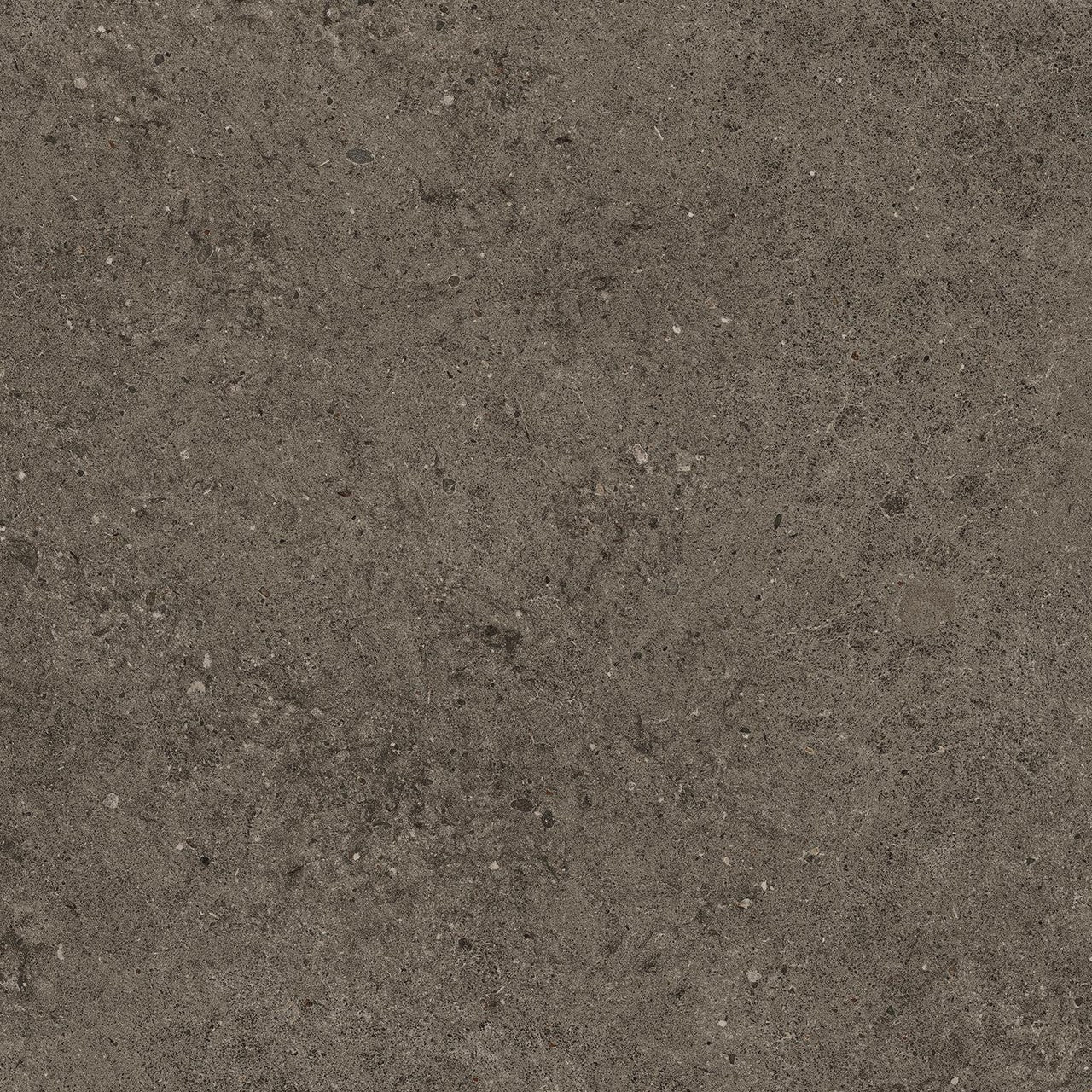 Carrelage effet Pierre Calcaire Gris Terre 80x80x0,9 cm Mat Domella - Sol et mur intérieur