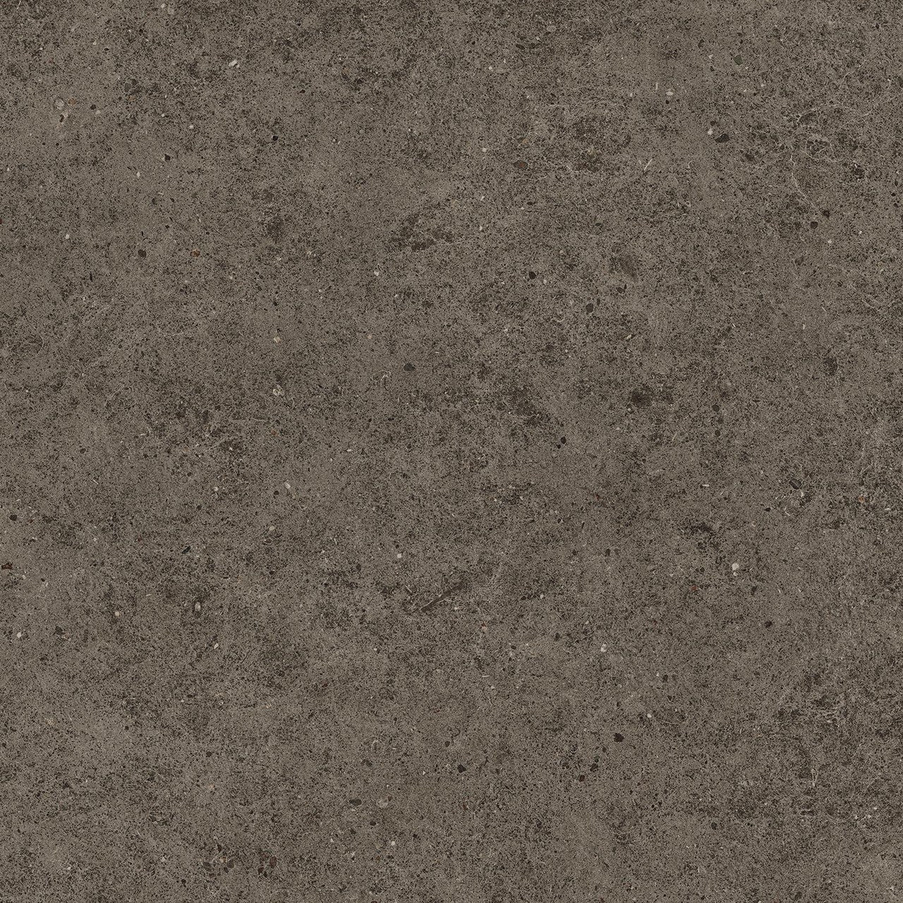 Carrelage effet Pierre Calcaire Gris Terre 80x80x0,9 cm Mat Domella - Sol et mur intérieur