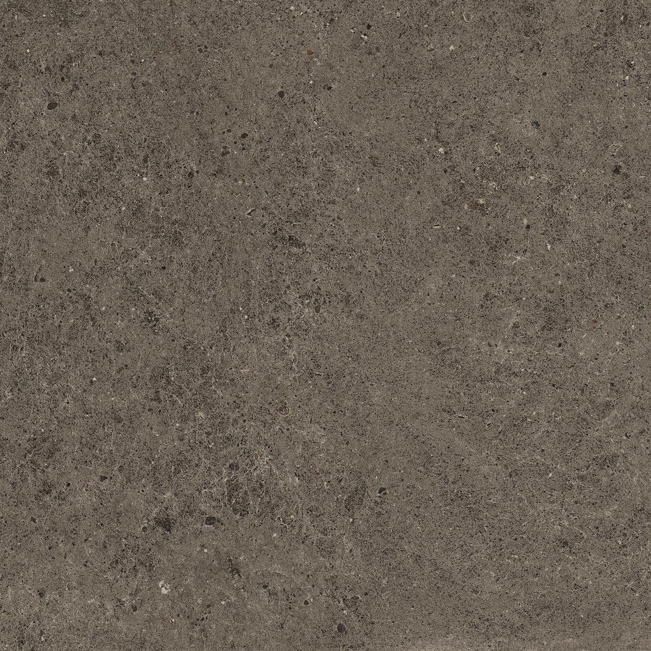 Carrelage effet Pierre Calcaire Gris Terre 60x60x0,9 cm Mat Domella - Sol et mur intérieur