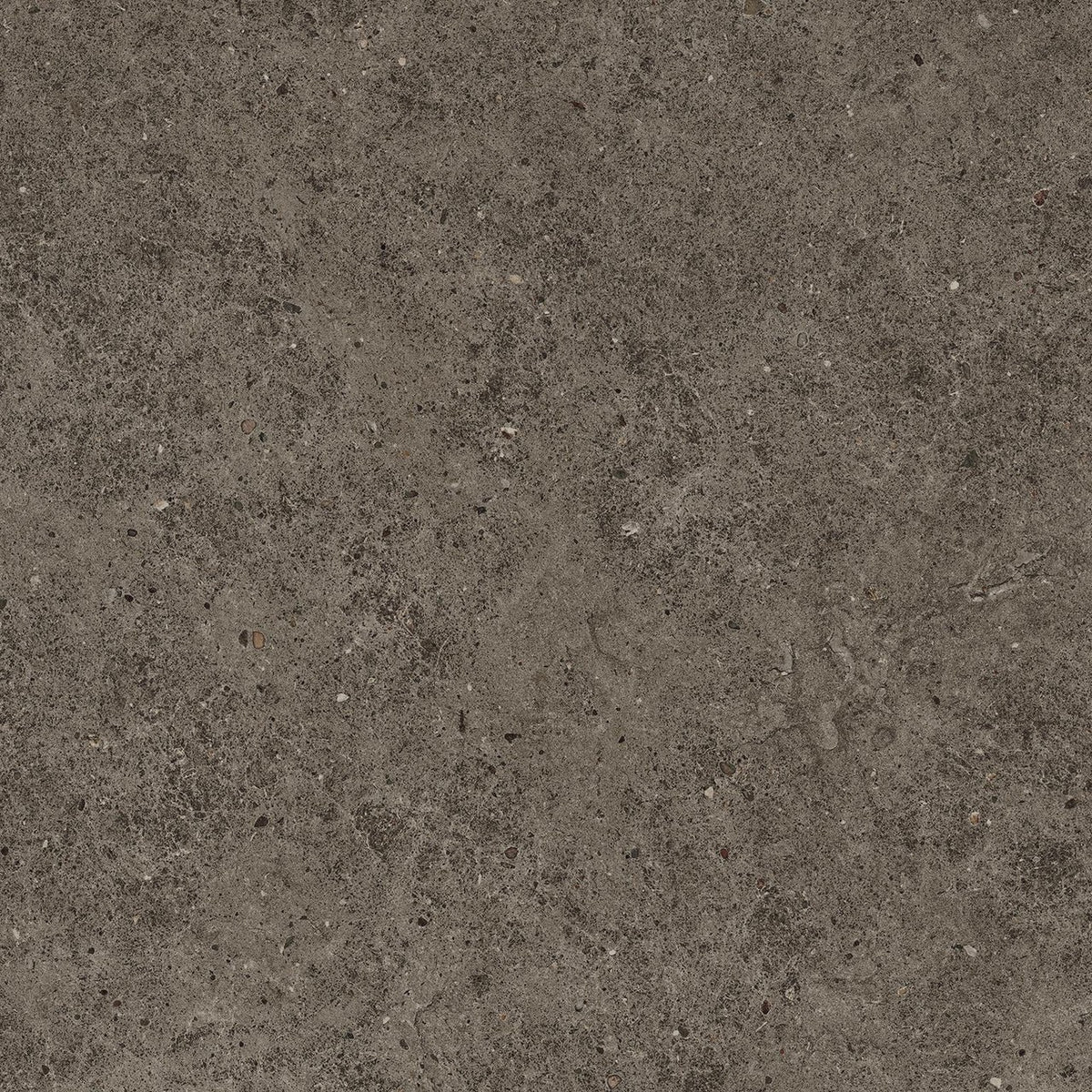 Carrelage effet Pierre Calcaire Gris Terre 60x60x0,9 cm Mat Domella - Sol et mur intérieur