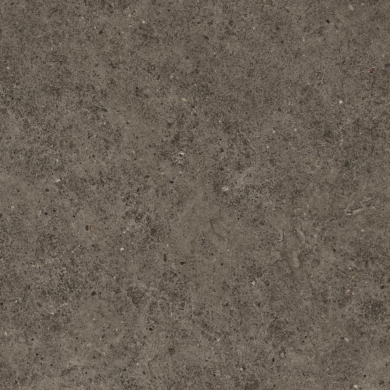 Carrelage effet Pierre Calcaire Gris Terre 60x60x0,9 cm Mat Domella - Sol et mur intérieur