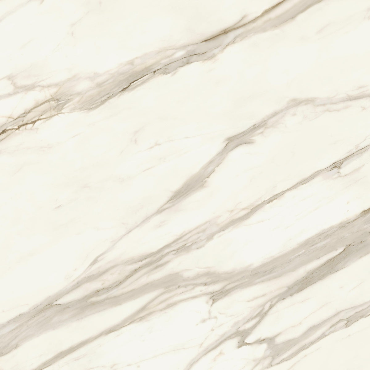 Carrelage effet Marbre Blanc Calacatta Sublime 120x120x0,9 cm Brillant Orsiano - Sol et mur intérieur