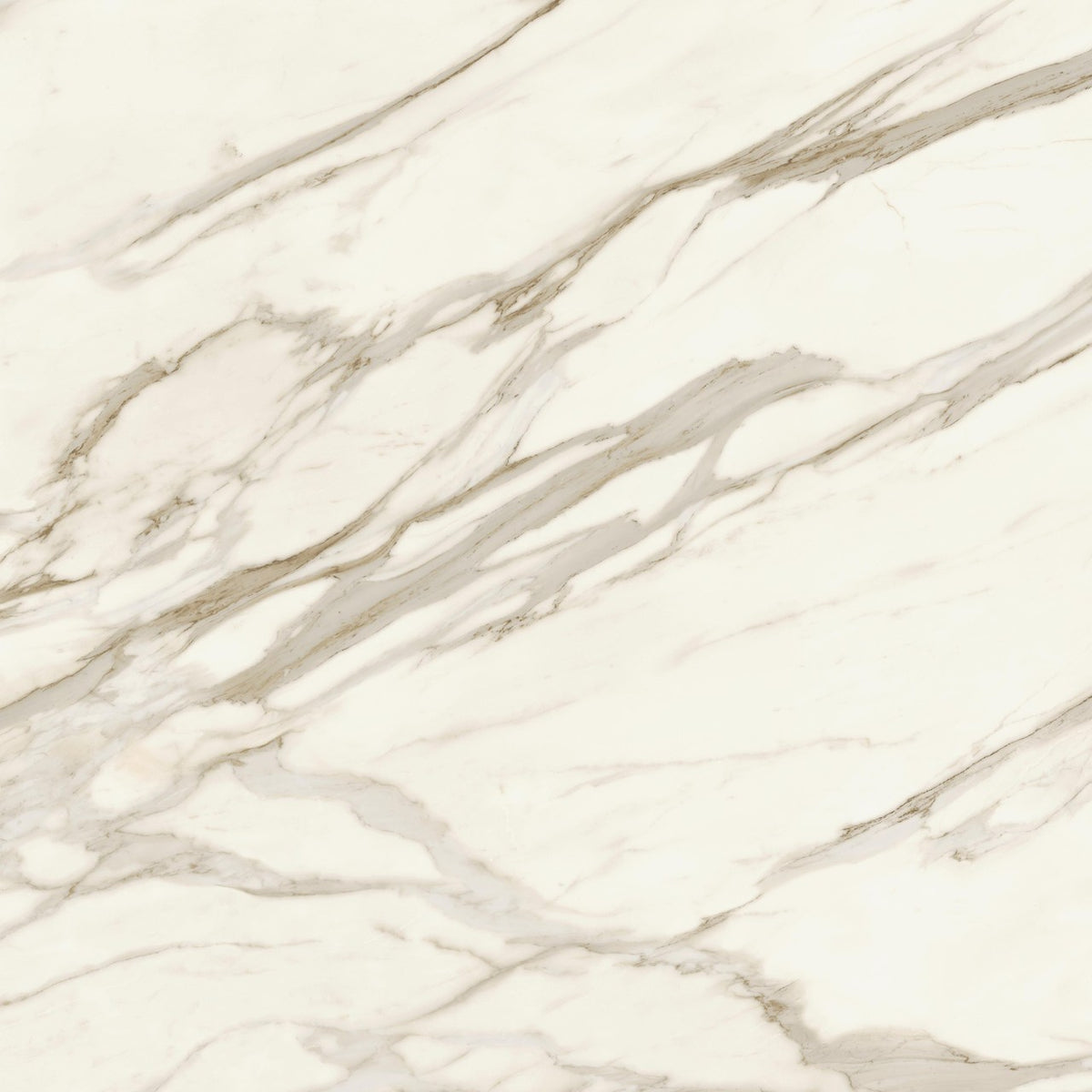Carrelage effet Marbre Blanc Calacatta Sublime 120x120x0,9 cm Velours Orsiano - Sol et mur intérieur