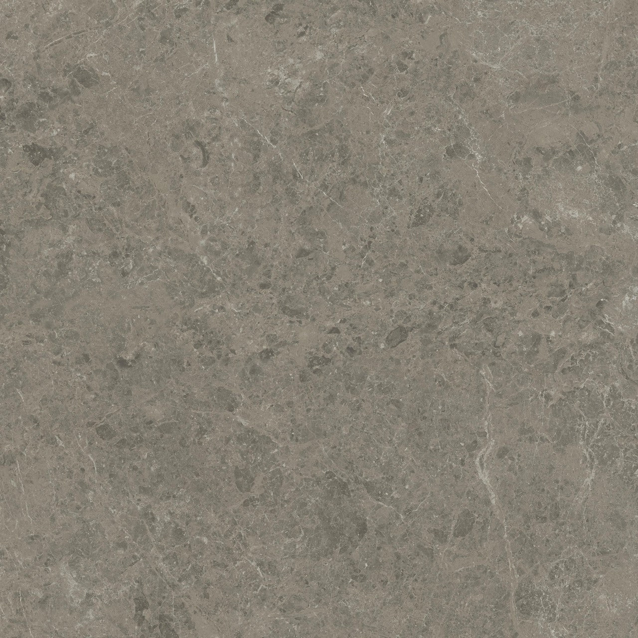 Carrelage effet Marbre Gris Impérial 120x120x0,9 cm Brillant Orsiano - Sol et mur intérieur