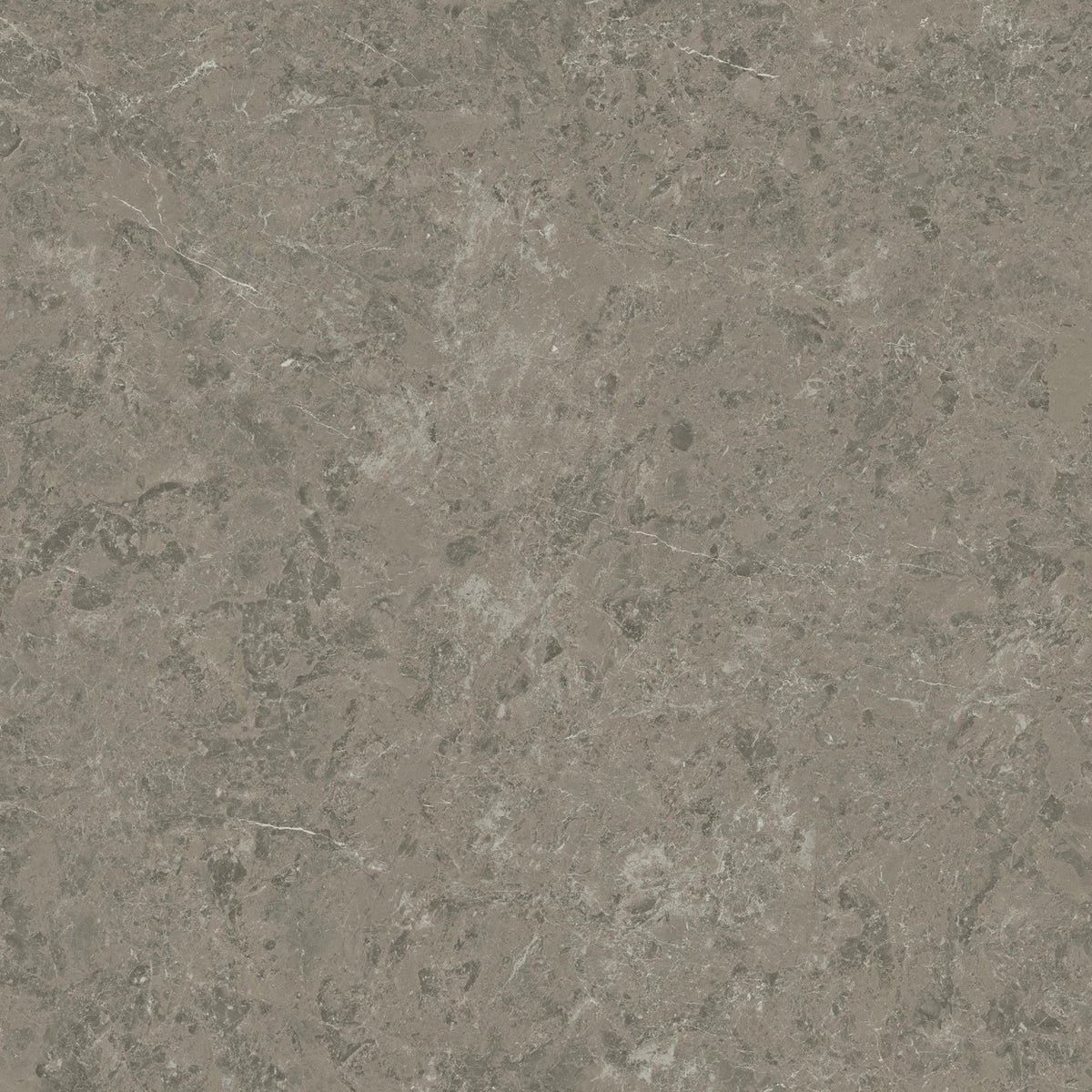 Carrelage effet Marbre Gris Impérial 120x120x0,9 cm Velours Orsiano - Sol et mur intérieur