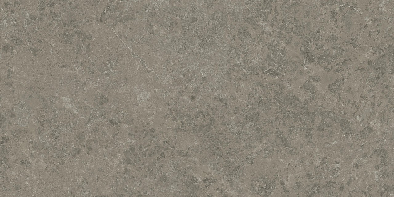 Carrelage effet Marbre Gris Impérial 240x120x0,9 cm Brillant Orsiano - Mur intérieur