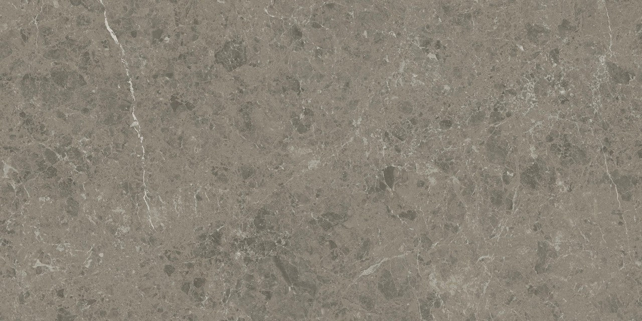 Carrelage effet Marbre Gris Impérial 120x60x0,9 cm Mat Orsiano - Sol et mur intérieur