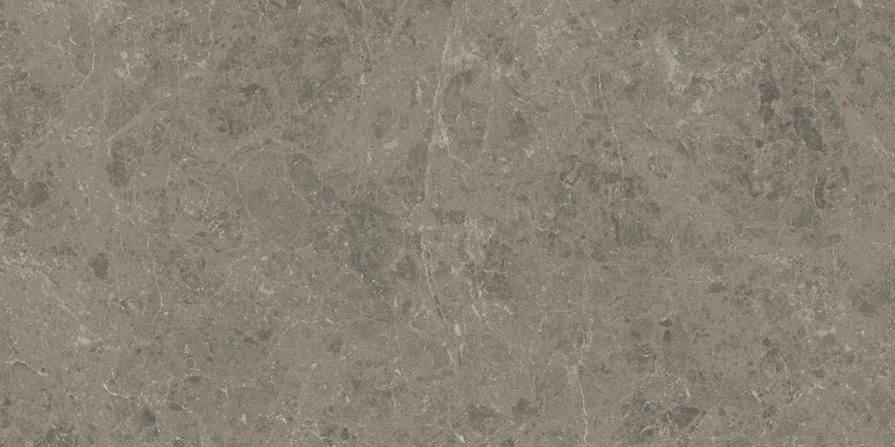 Carrelage effet Marbre Gris Impérial 120x60x0,9 cm Velours Orsiano - Sol et mur intérieur
