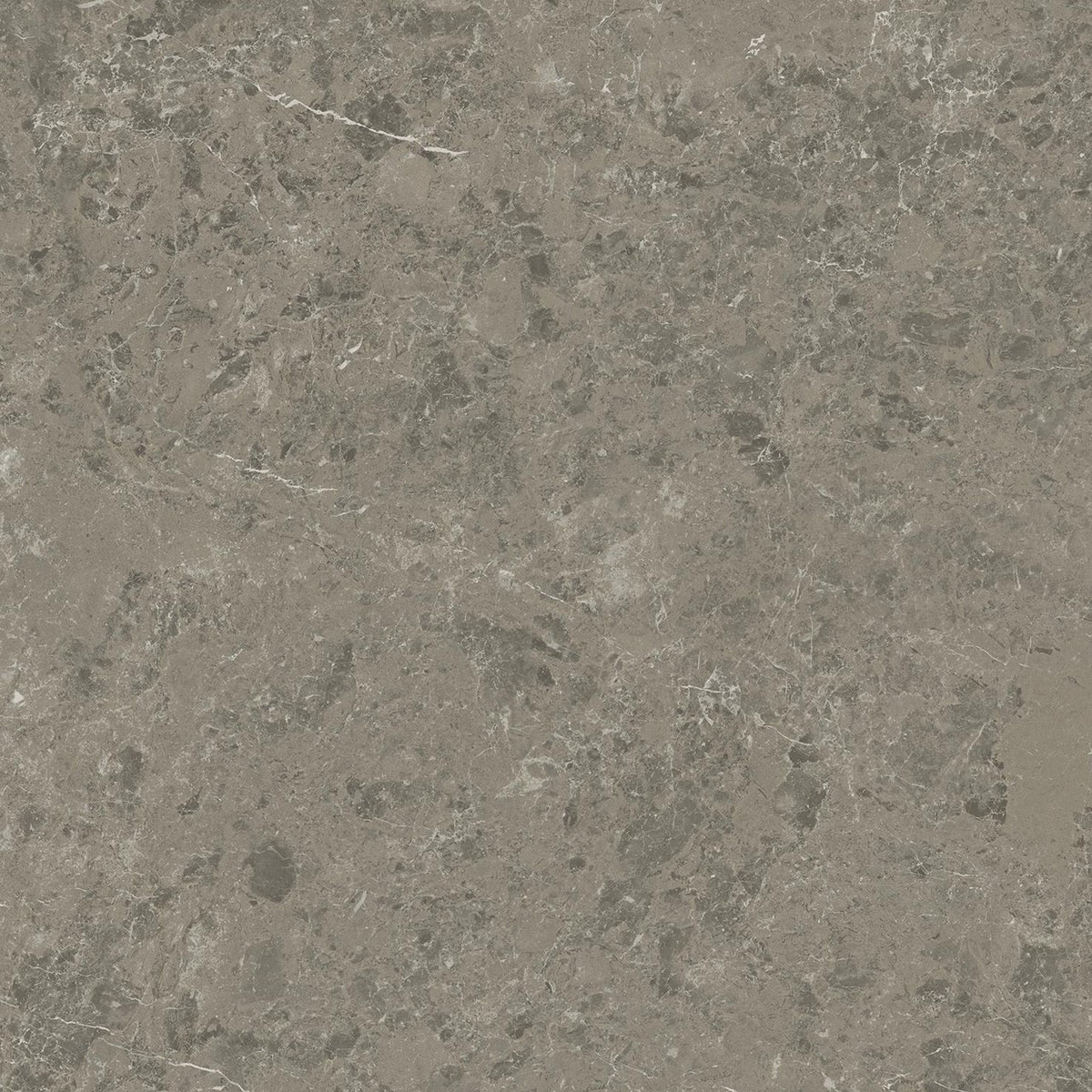 Carrelage effet Marbre Gris Impérial 60x60x0,9 cm Mat Orsiano - Sol et mur intérieur