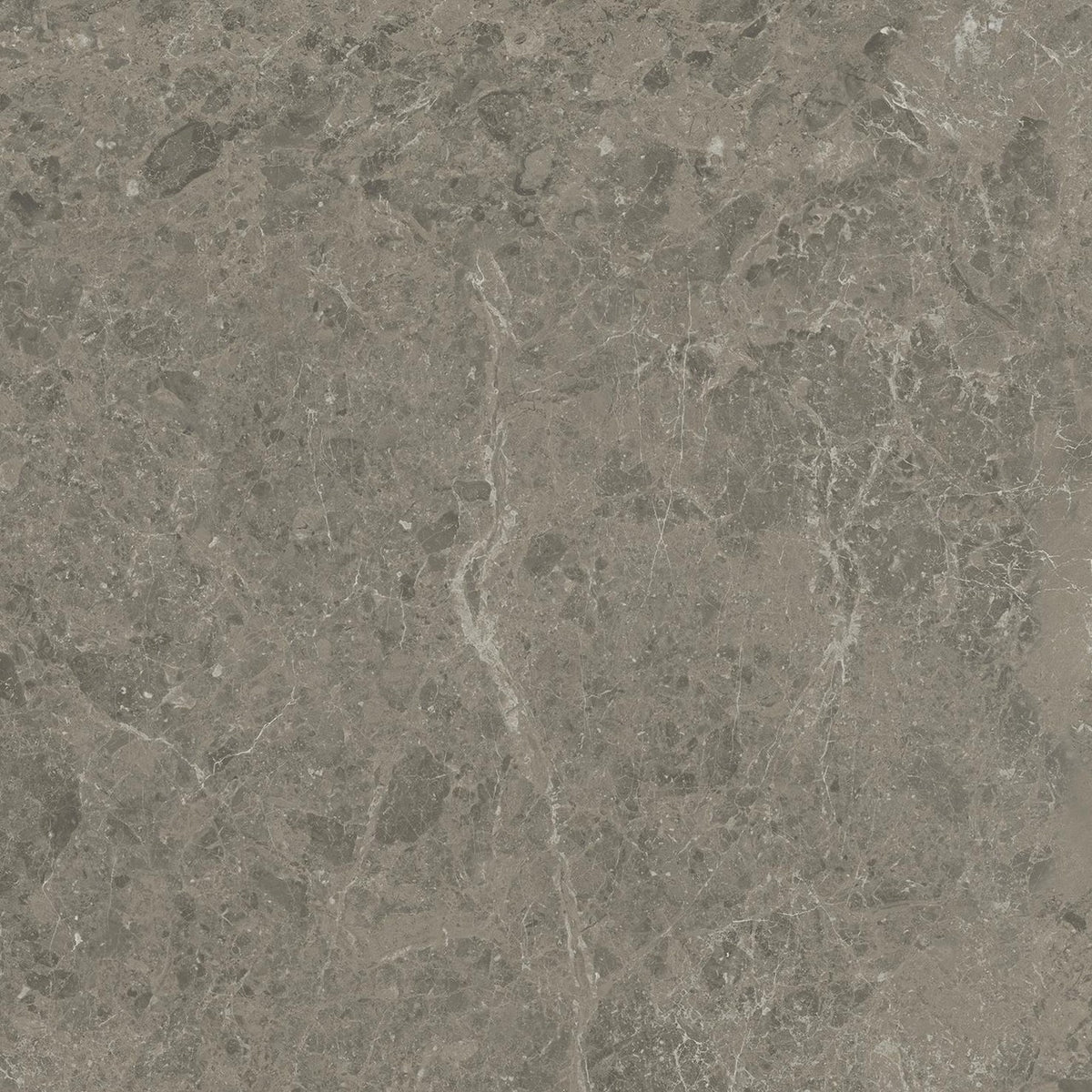 Carrelage effet Marbre Gris Impérial 60x60x0,9 cm Brillant Orsiano - Sol et mur intérieur