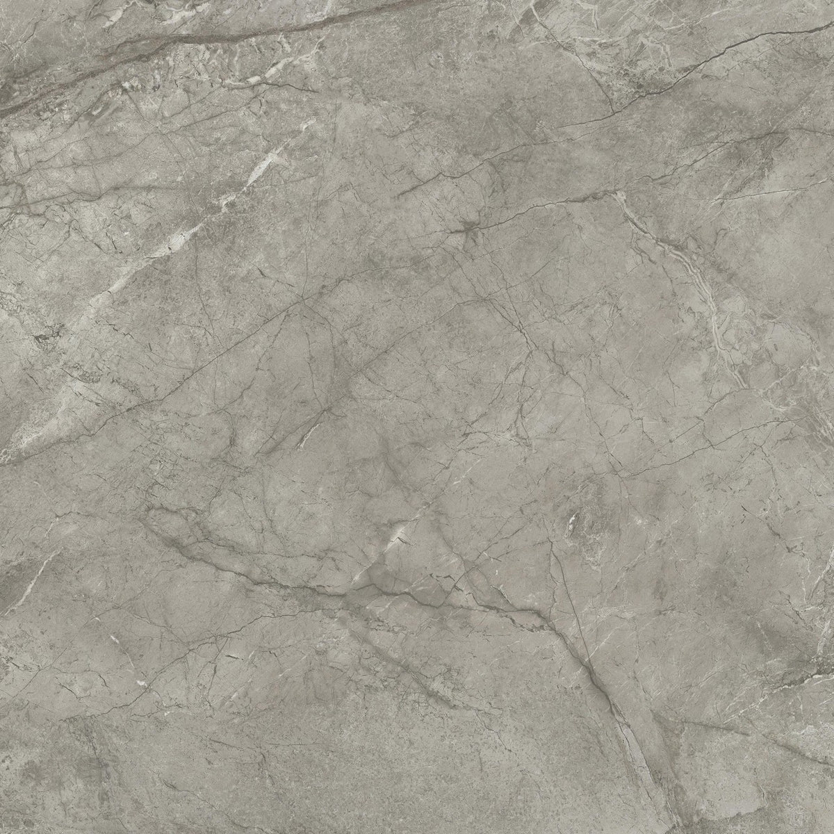 Carrelage effet Marbre Gris Royal 120x120x0,9 cm Brillant Orsiano - Sol et mur intérieur