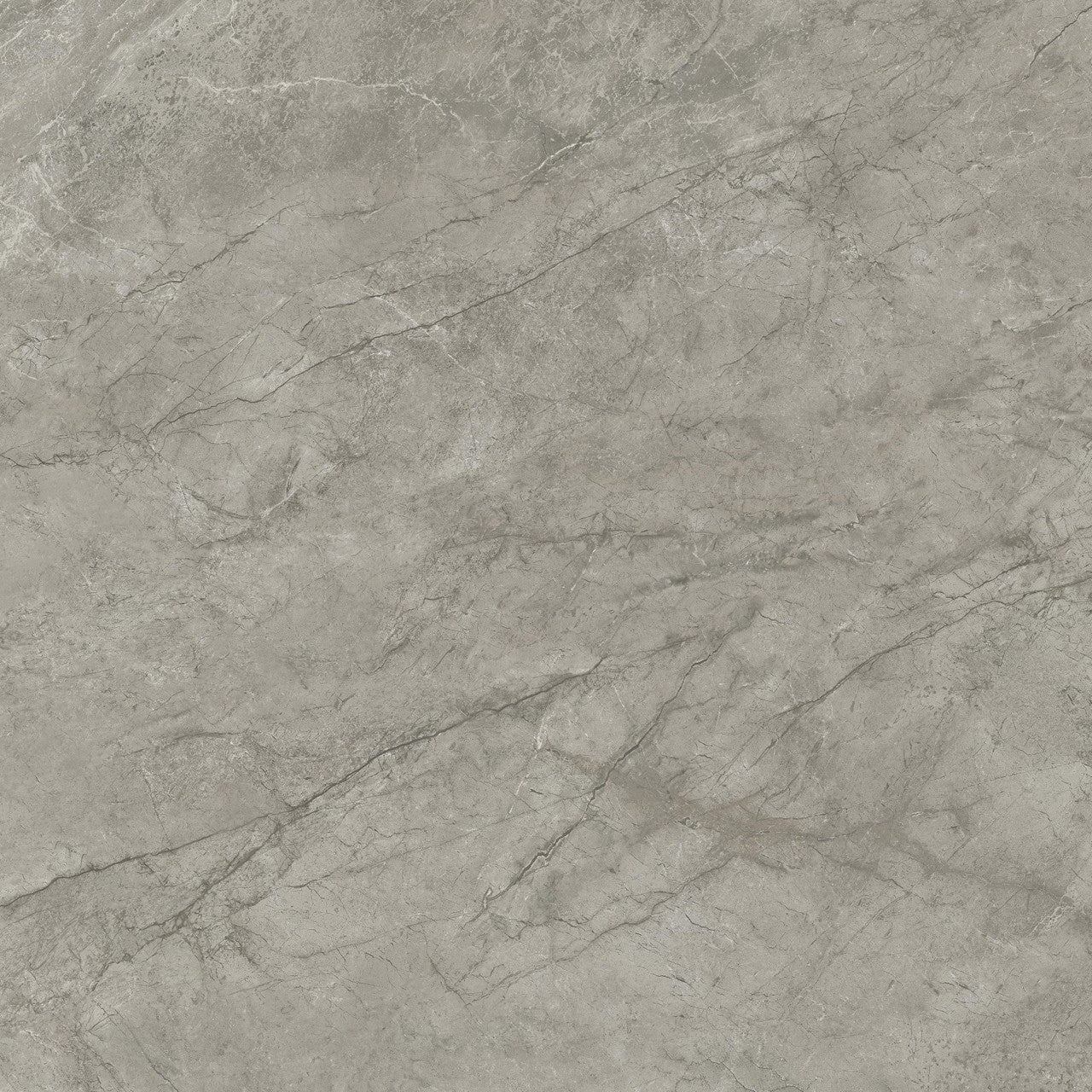 Carrelage effet Marbre Gris Royal 120x120x0,9 cm Brillant Orsiano - Sol et mur intérieur