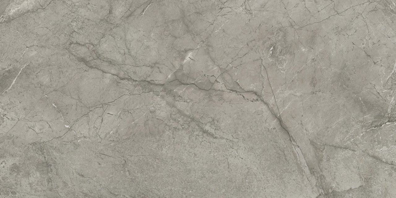 Carrelage effet Marbre Gris Royal 120x60x0,9 cm Velours Orsiano - Sol et mur intérieur