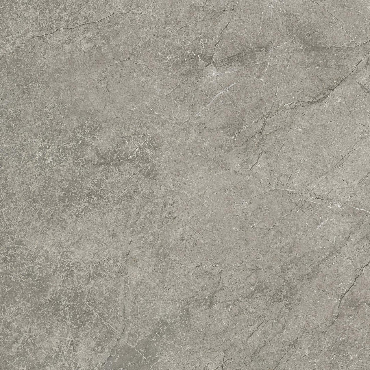 Carrelage effet Marbre Gris Royal 60x60x0,9 cm Mat Orsiano - Sol et mur intérieur