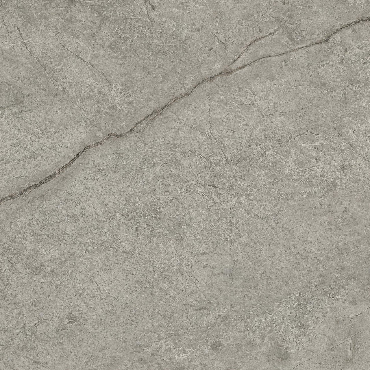 Carrelage effet Marbre Gris Royal 60x60x0,9 cm Brillant Orsiano - Sol et mur intérieur