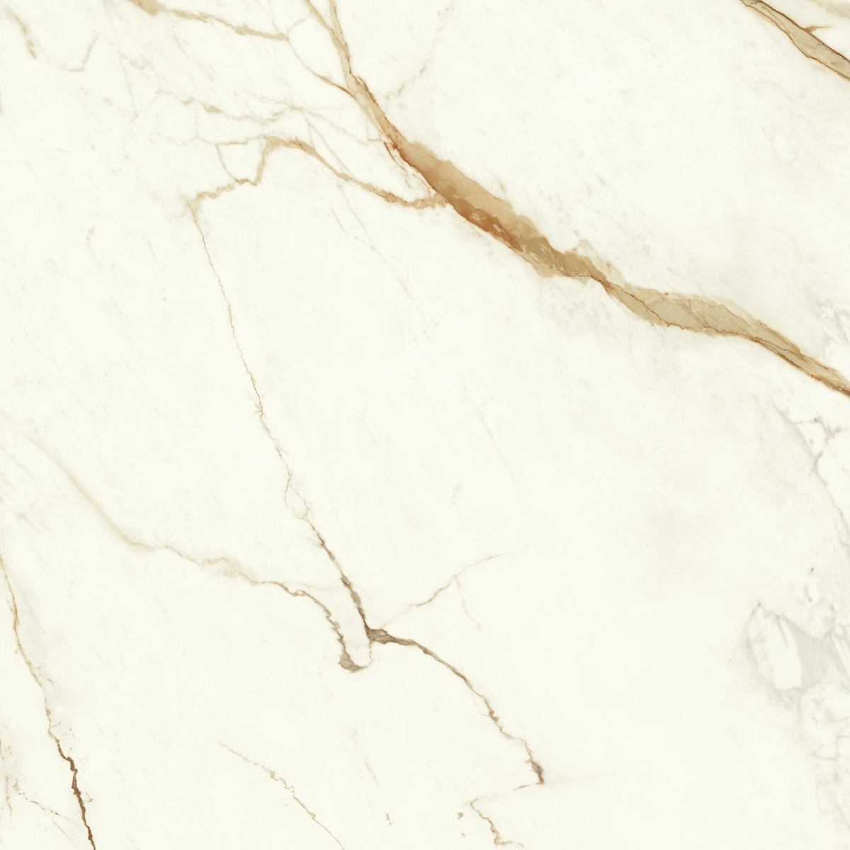 Carrelage effet Marbre Blanc Calacatta Supreme 120x120x0,9 cm Brillant Faventa - Sol et mur intérieur