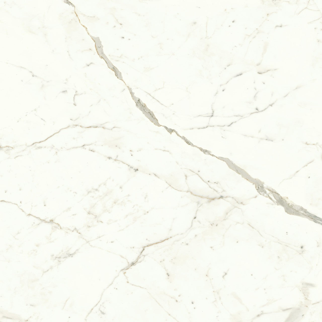 Carrelage effet Marbre Blanc Calacatta Prima 120x120x0,9 cm Mat Faventa - Sol et mur intérieur