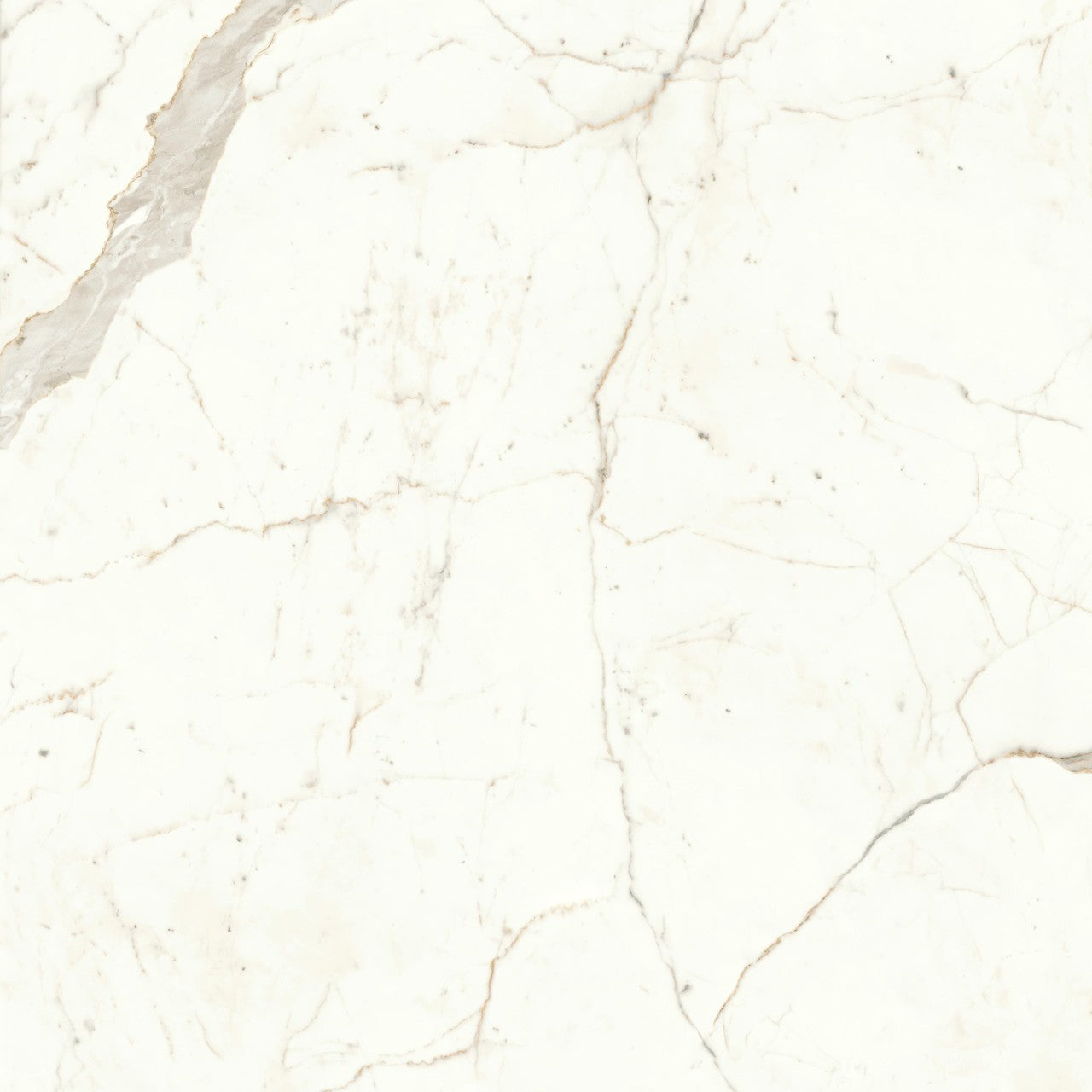 Carrelage effet Marbre Blanc Calacatta Prima 120x120x0,9 cm Brillant Faventa - Sol et mur intérieur