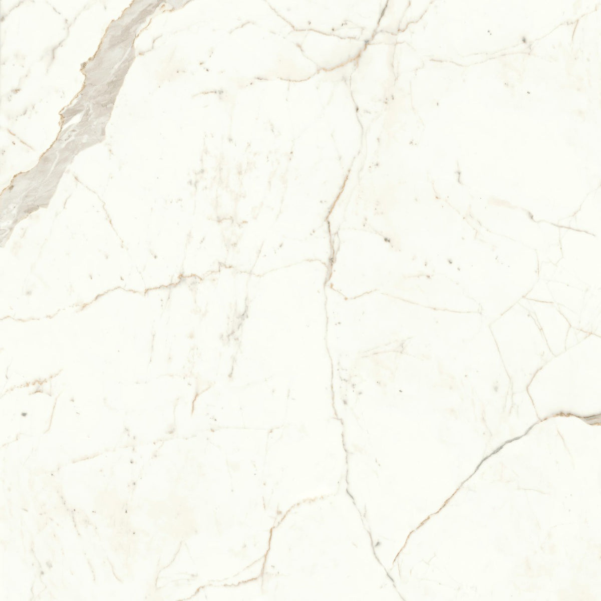 Carrelage effet Marbre Blanc Calacatta Prima 120x120x0,9 cm Brillant Faventa - Sol et mur intérieur