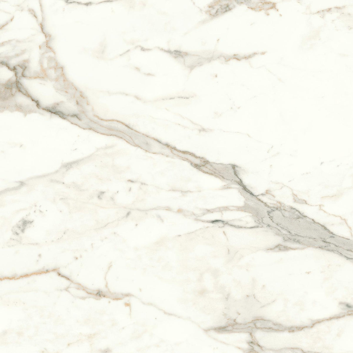 Carrelage effet Marbre Blanc Calacatta Prima 60x60x0,9 cm Brillant Faventa - Sol et mur intérieur