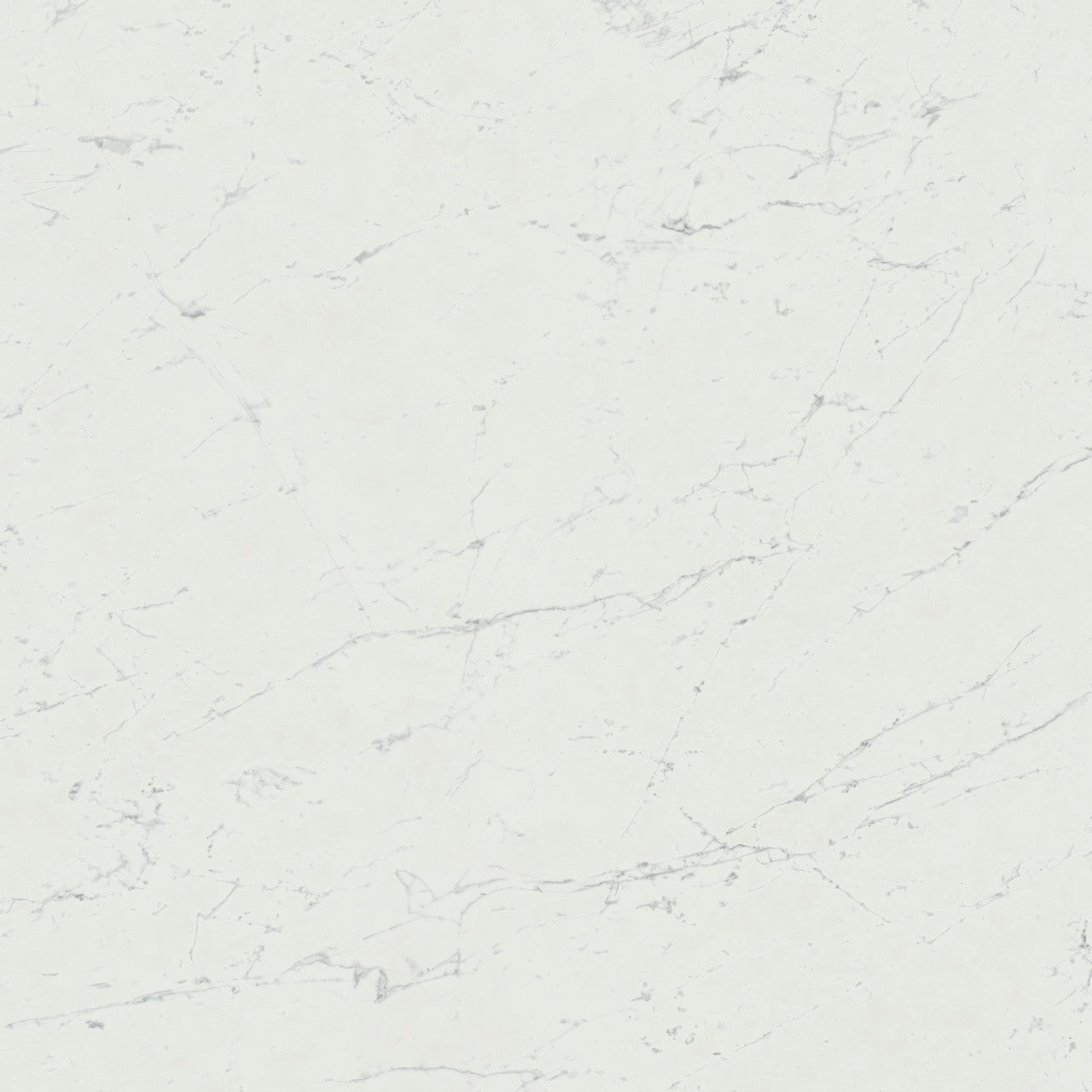 Carrelage effet Marbre Blanc Carrare 120x120x0,9 cm Mat Marvillo - Sol et mur intérieur