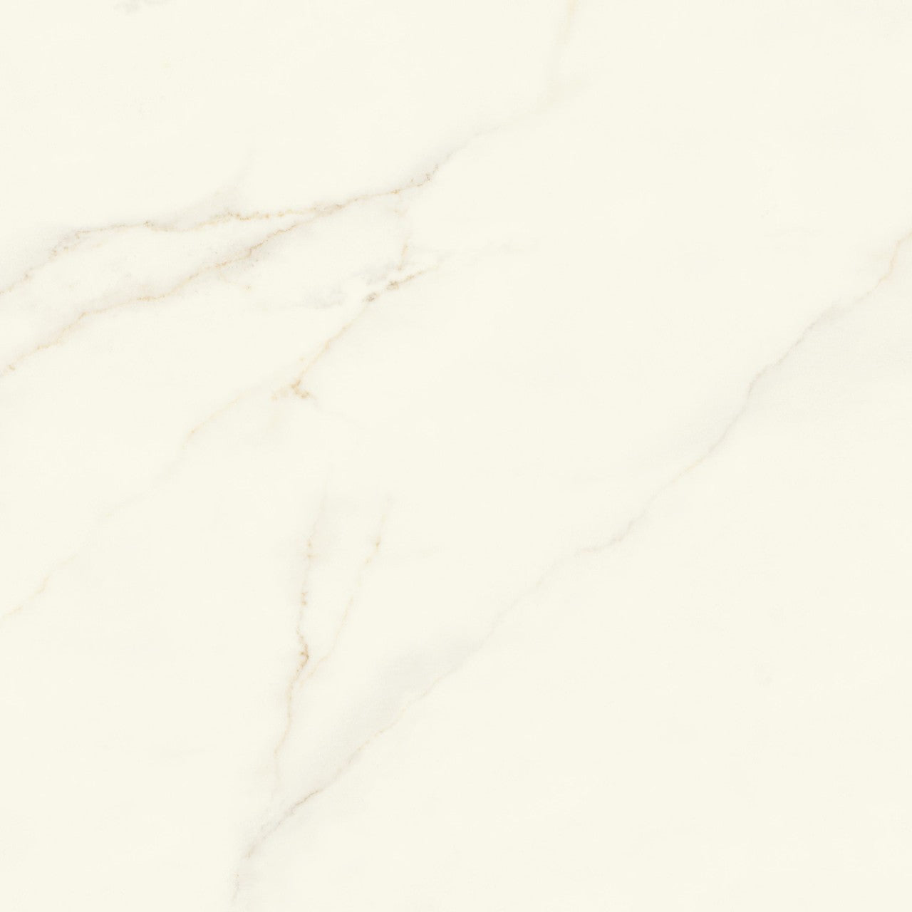 Carrelage effet Marbre Blanc Calacatta Divino 120x120x0,9 cm Brillant Montira - Sol et mur intérieur