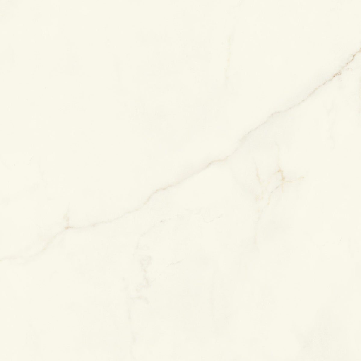 Carrelage effet Marbre Blanc Calacatta Divino 120x120x0,9 cm Brillant Montira - Sol et mur intérieur