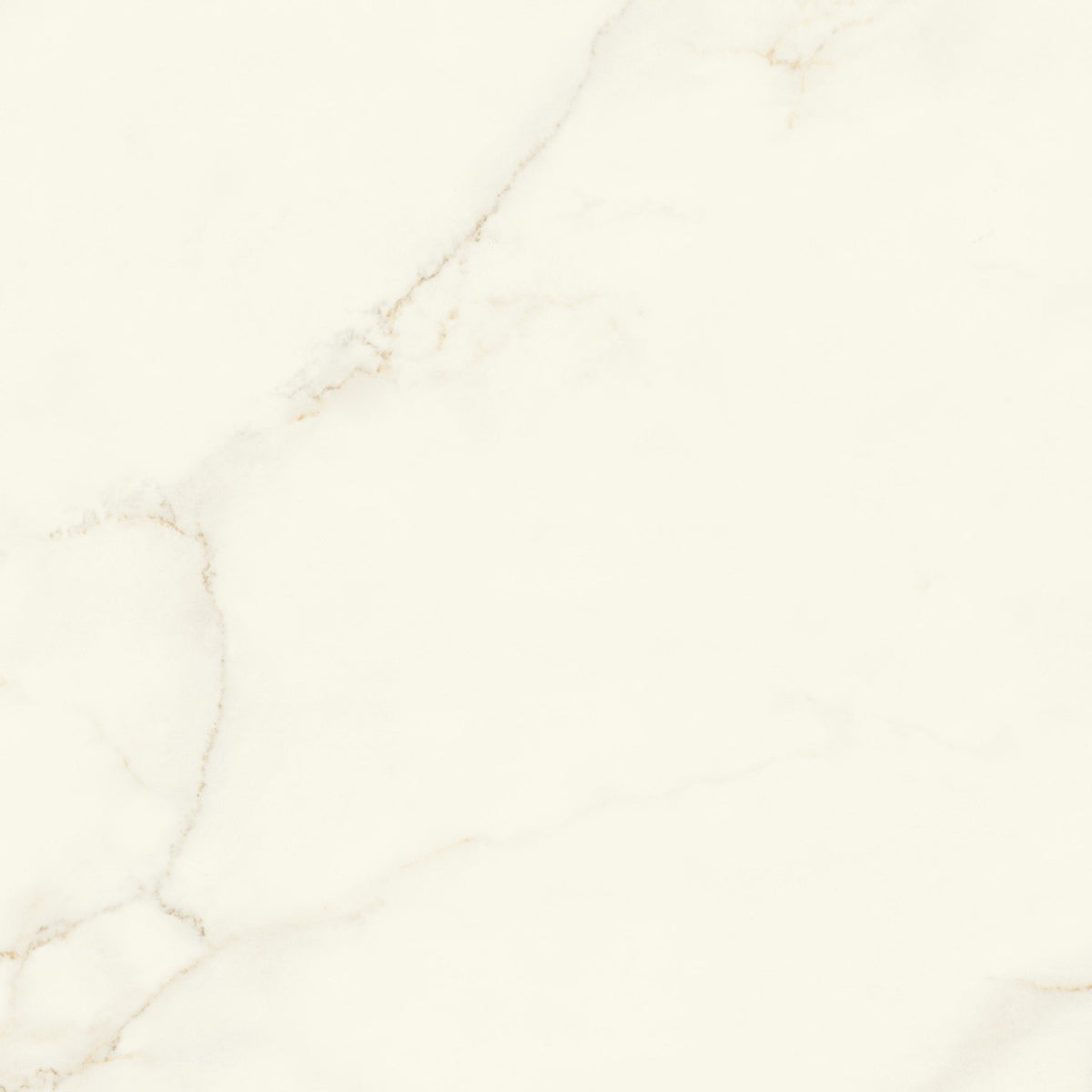 Carrelage effet Marbre Blanc Calacatta Divino 120x120x0,9 cm Silk Montira - Sol et mur intérieur