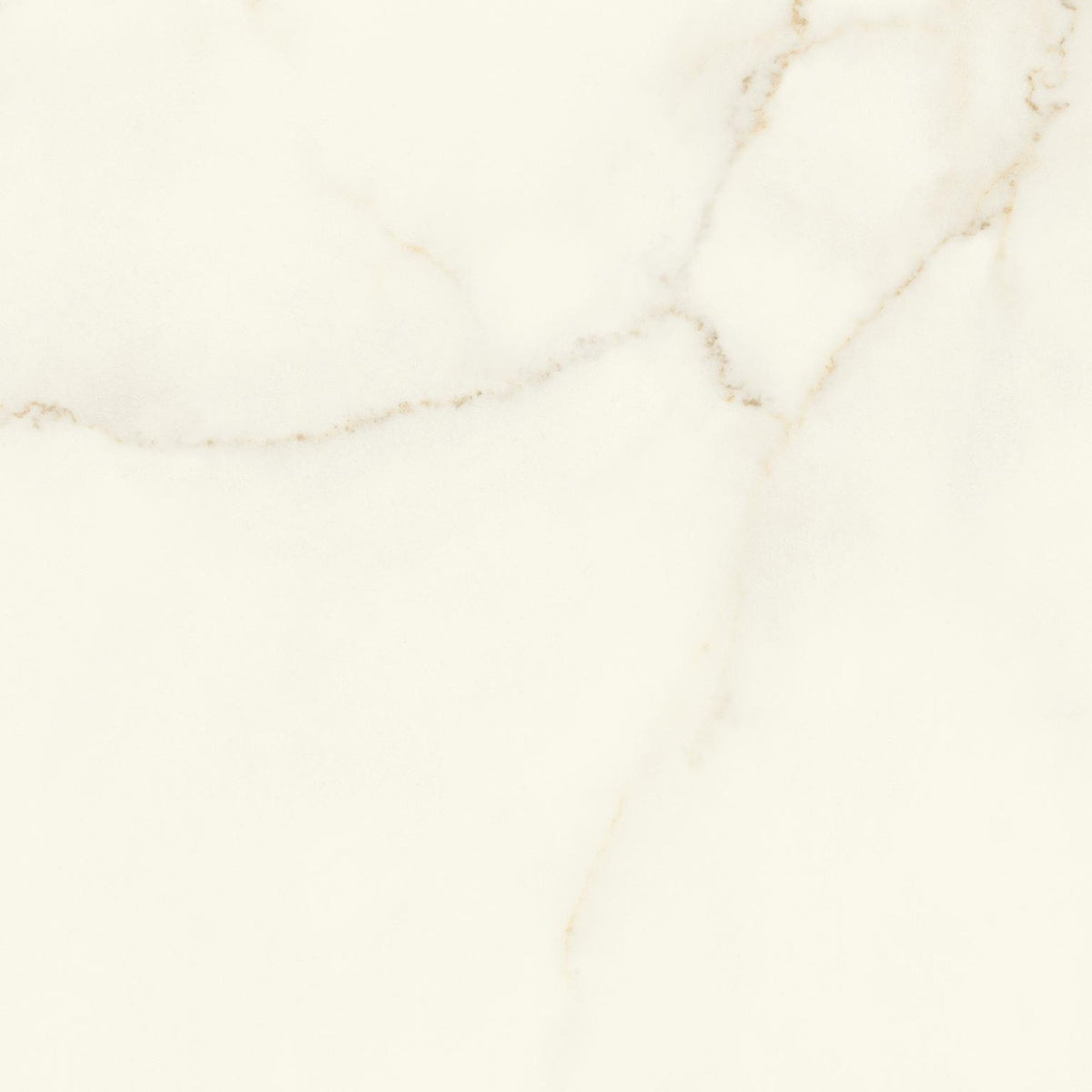 Carrelage effet Marbre Blanc Calacatta Divino 60x60x0,9 cm Mat Montira - Sol et mur intérieur