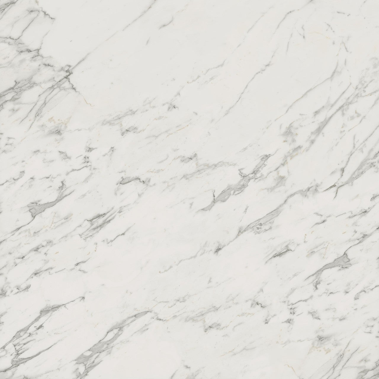 Carrelage effet Marbre Blanc Calacatta Extra 120x120x0,9 cm Brillant Clarenza - Sol et mur intérieur