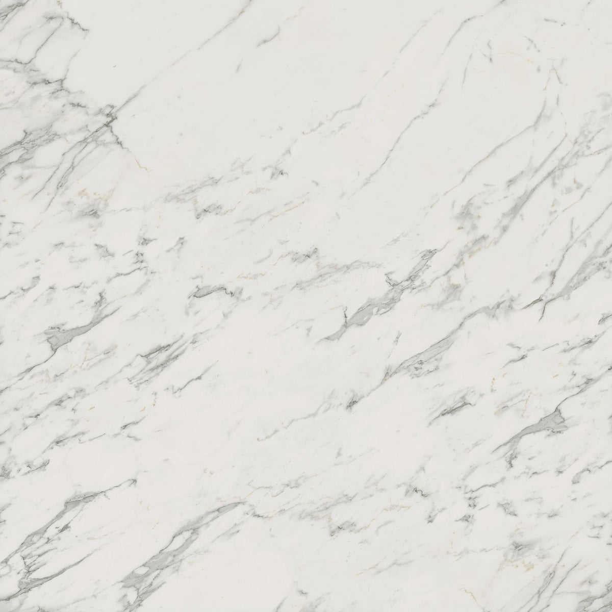 Carrelage effet Marbre Blanc Calacatta Extra 120x120x0,9 cm Brillant Clarenza - Sol et mur intérieur