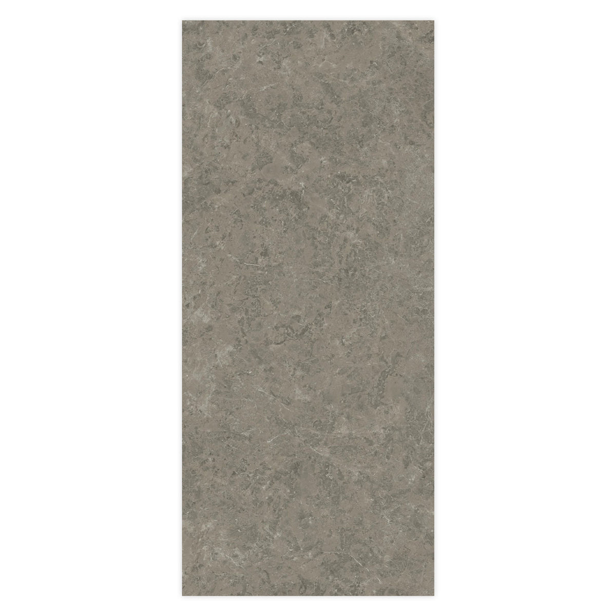Carrelage effet Marbre Gris Impérial 278x120x0,6 cm Brillant Orsiano - Mur intérieur