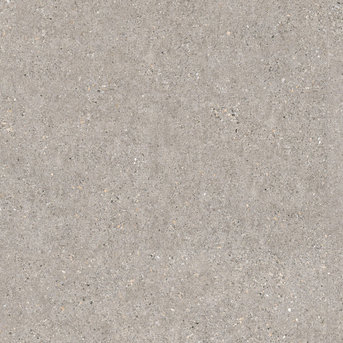 Carrelage effet Béton Gris Cendré 100x50x2 cm Arvelis - Sol extérieur