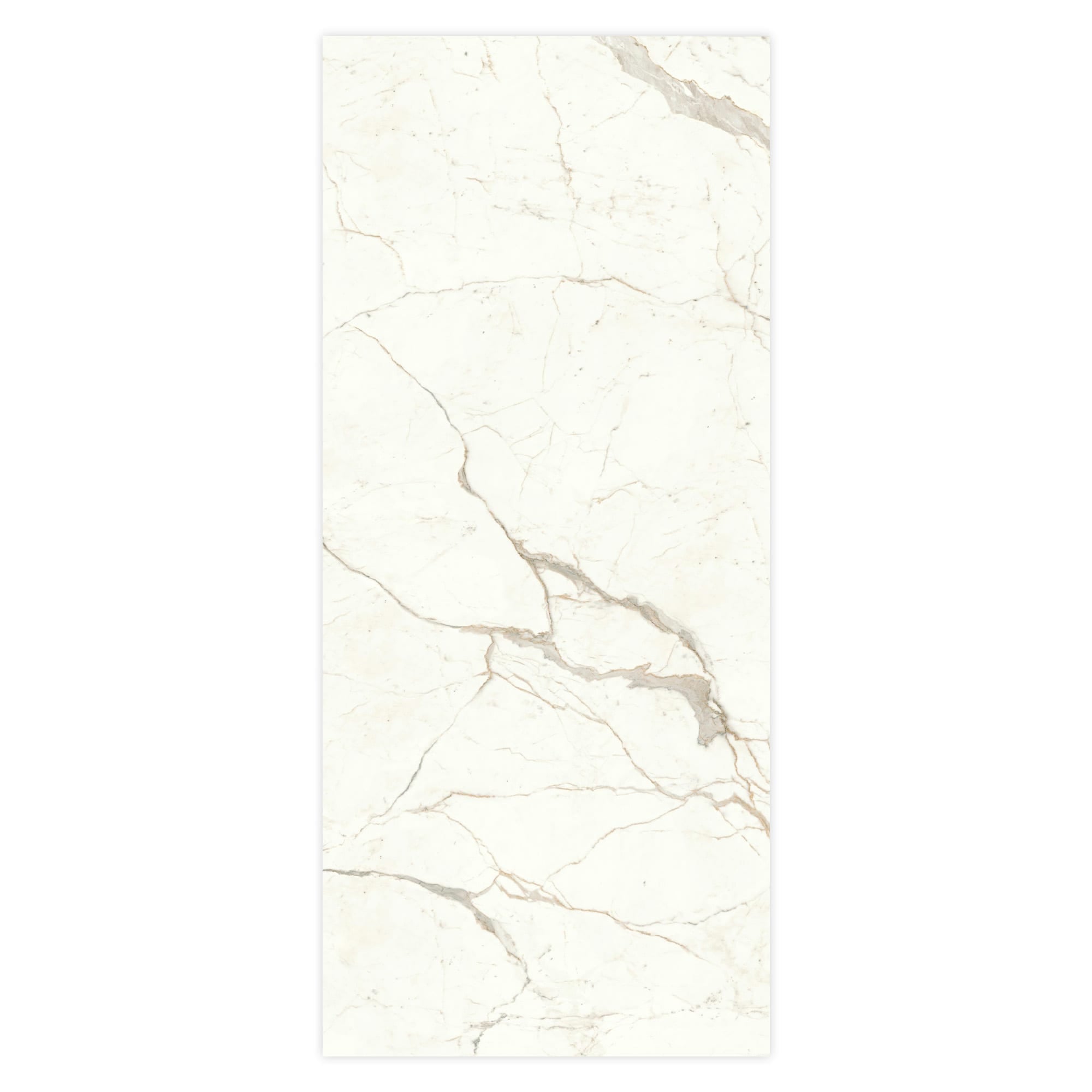 Carrelage effet Marbre Blanc Calacatta Prima 278x120x0,6 cm Brillant Faventa - Mur intérieur