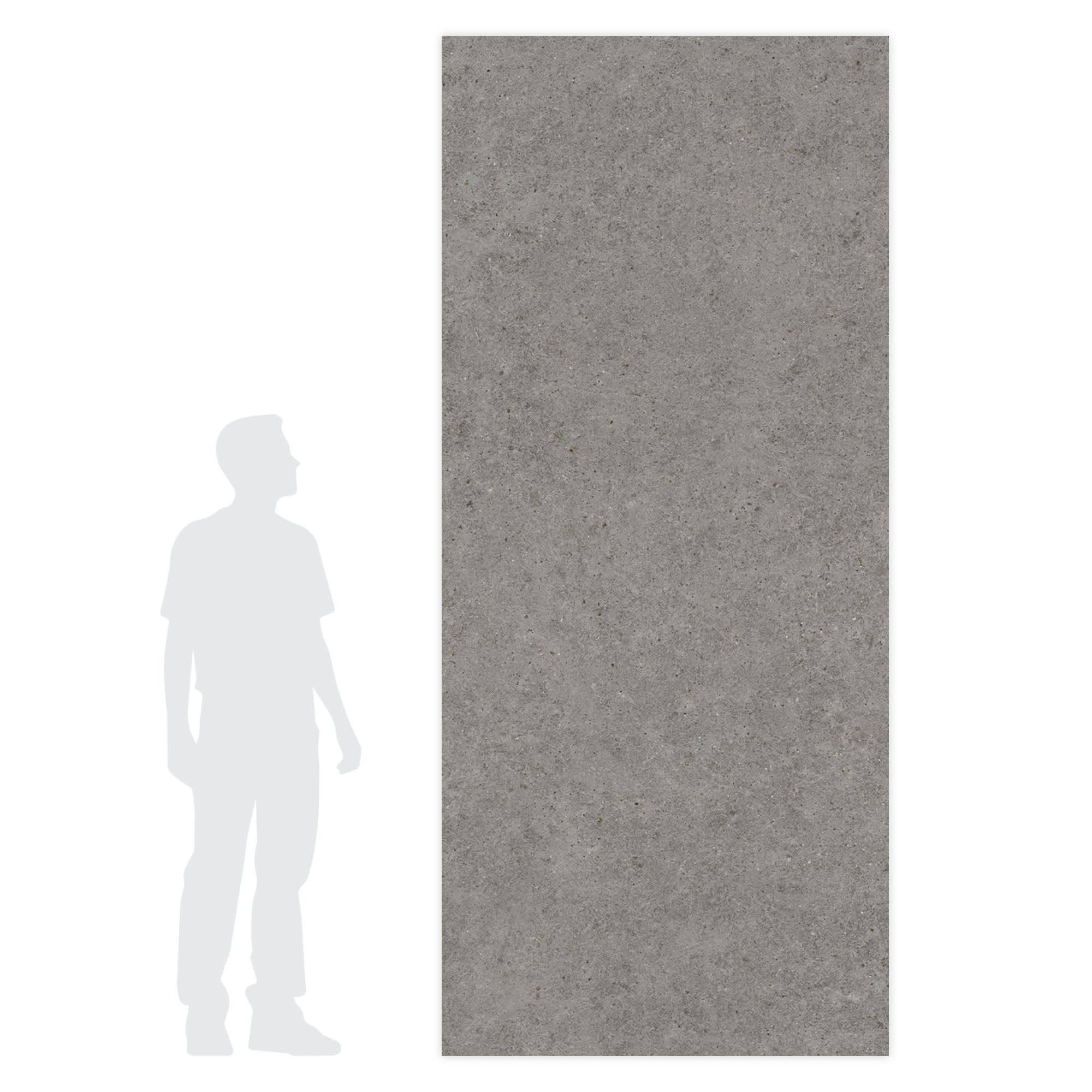Carrelage effet Pierre Calcaire Gris Fumé 278x120x0,6 cm Mat Domella - Mur intérieur