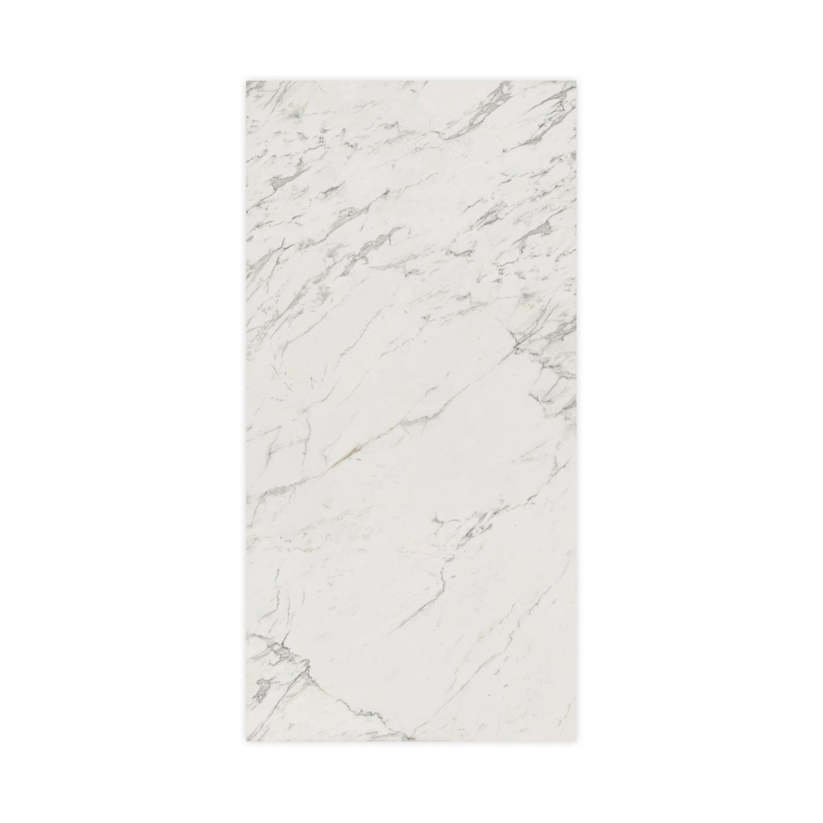 Carrelage effet Marbre Blanc Calacatta Extra 240x120x0,9 cm Brillant Clarenza - Mur intérieur